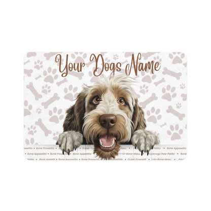 Spinone Italiano