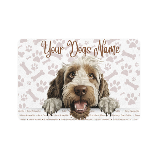 Spinone Italiano