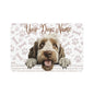 Spinone Italiano
