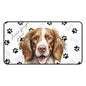 Welsh Springer Spaniel Desk Mat